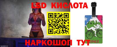 индика Дубна