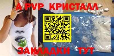 индика Дубна