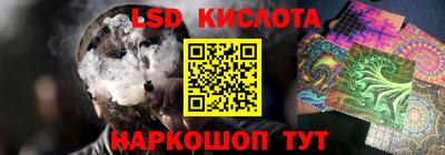 гашик Донецк