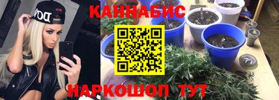 индика Дубна