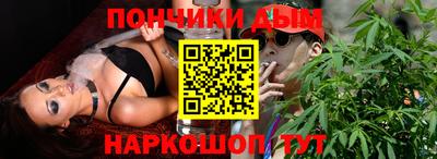 индика Дубна