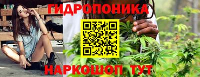индика Дубна
