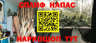 гашик Донецк