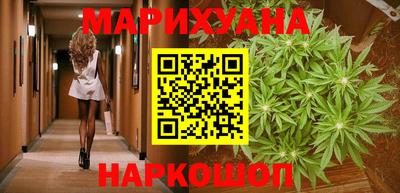 индика Дубна