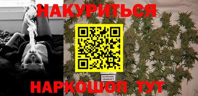 гашик Донецк