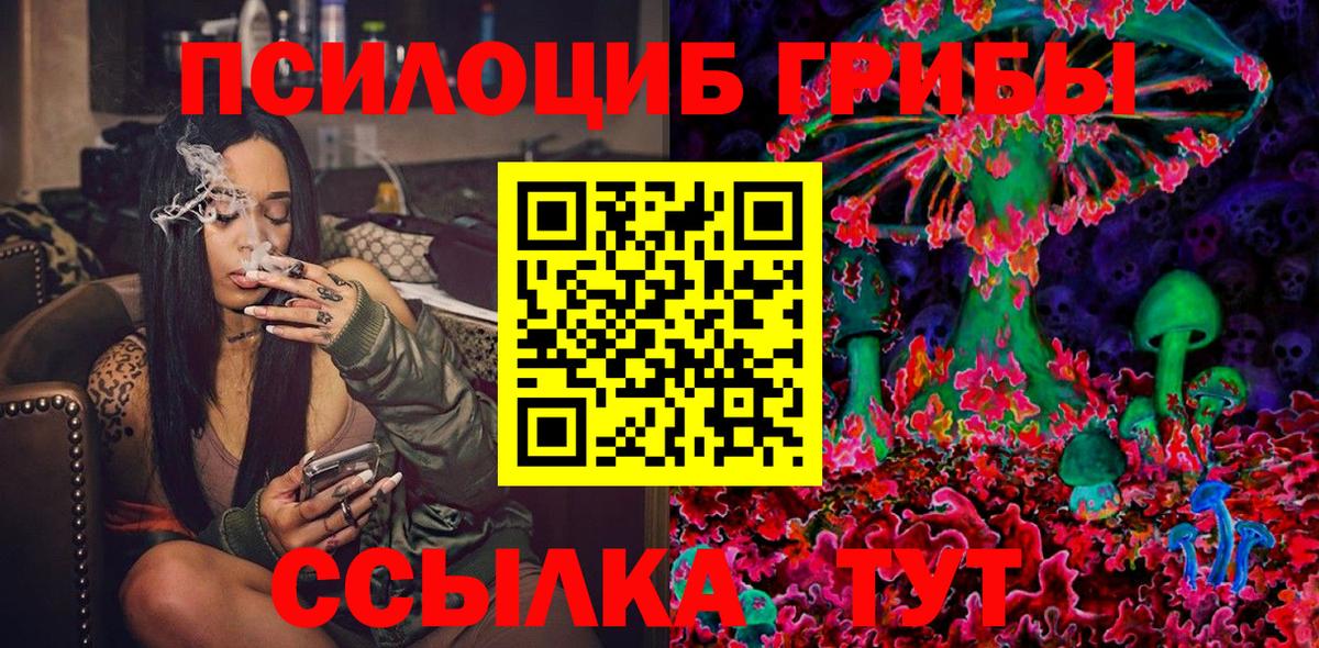 Псилоцибиновые грибы мицелий Нижнекамск