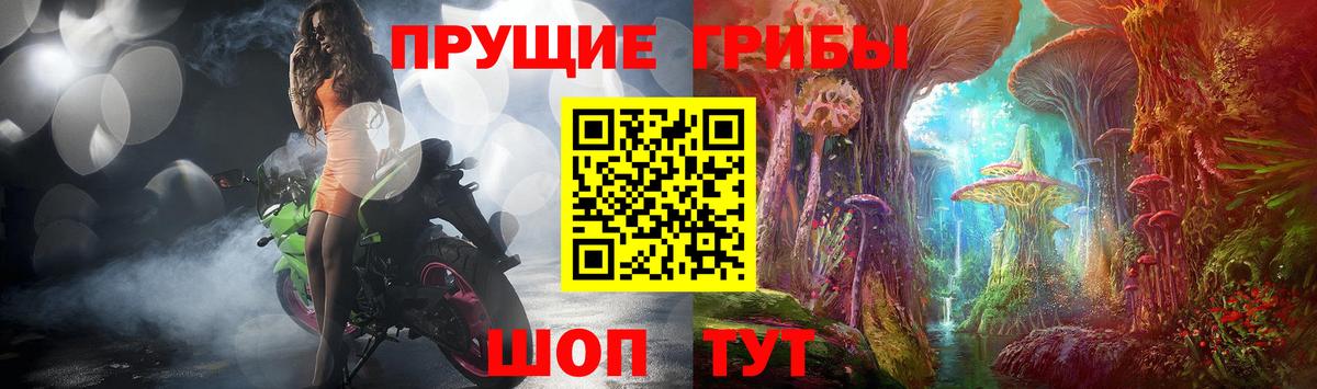 где купить наркотик  Вход с VPN  Нижнекамск  Галлюциногенные грибы Magic Shrooms 